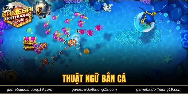 Thuật ngữ bắn cá