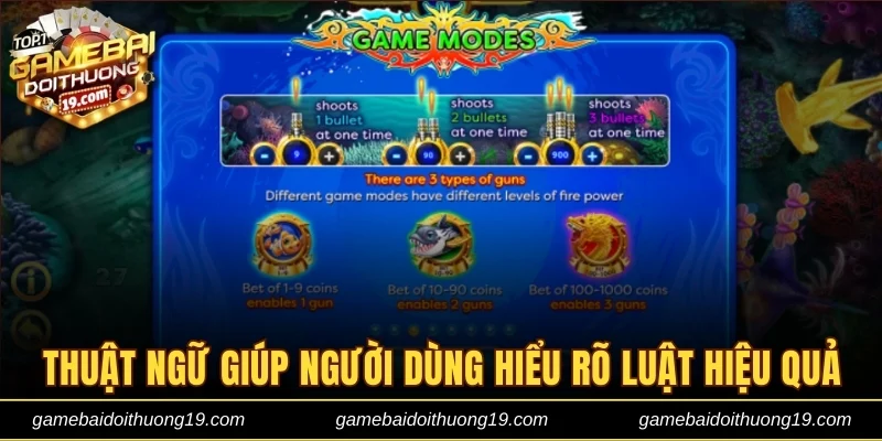 Thuật ngữ giúp người dùng hiểu rõ luật hiệu quả