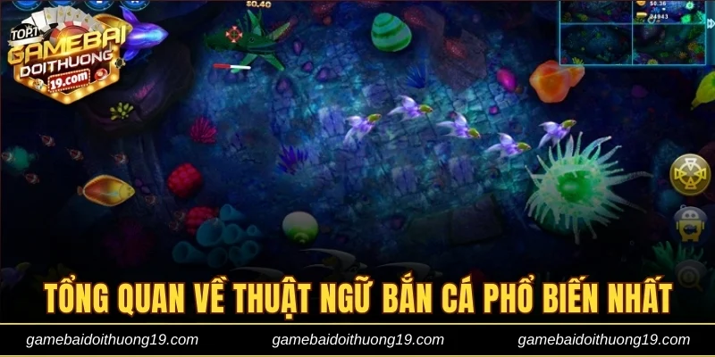 Tổng quan về thuật ngữ bắn cá phổ biến nhất